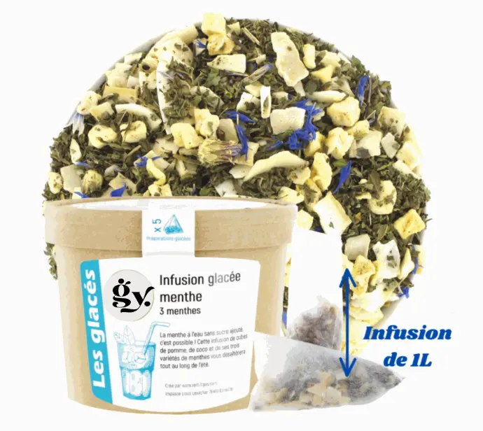 Infusion glaçée 3 menthes,5 sachets XL 90g