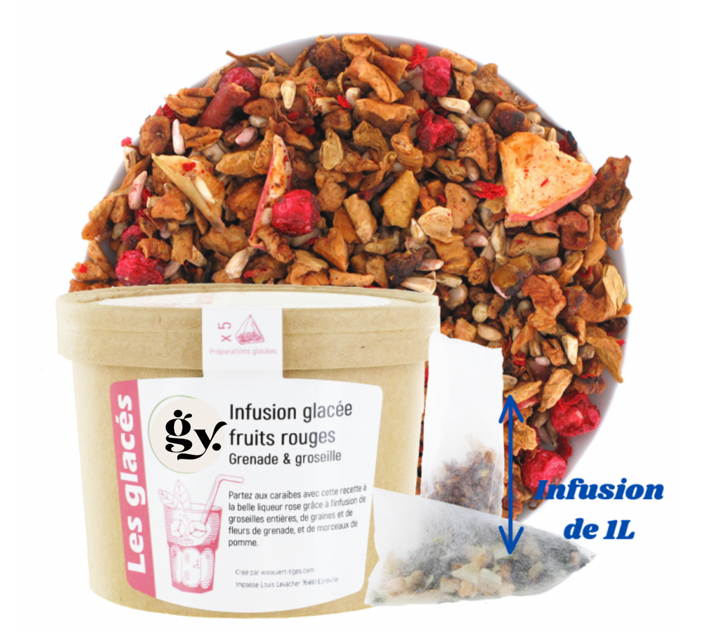 Infusion glaçée fruits rouges,5 sachets XL 90g