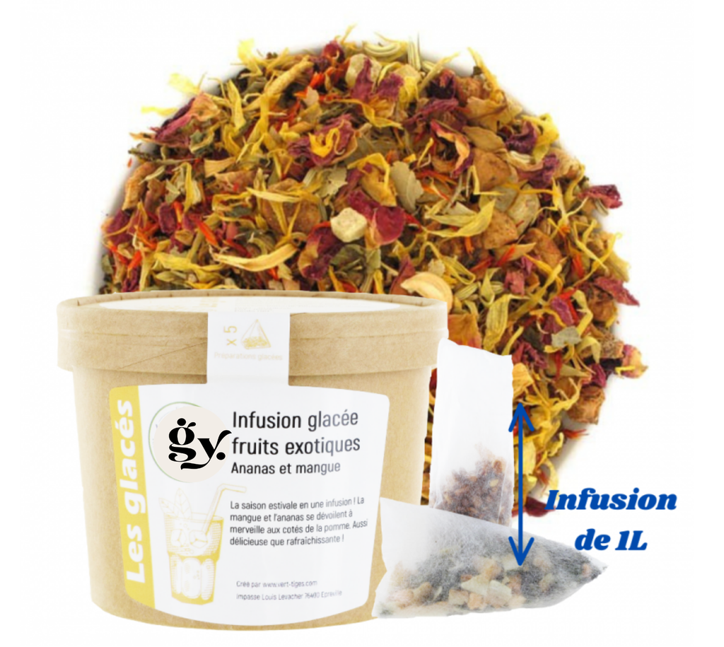 Infusion glaçée fruits exotiques,5 sachets XL 90g