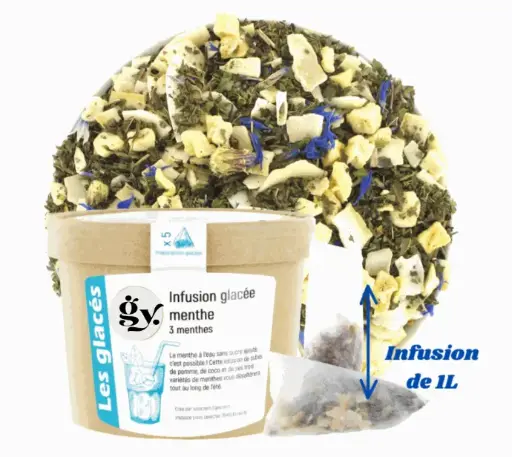 Infusion glaçée 3 menthes,5 sachets XL 90g